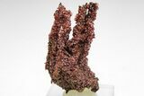 Lustrous Vanadinite Crystals on Goethite Stalactites - Morocco #209293-1